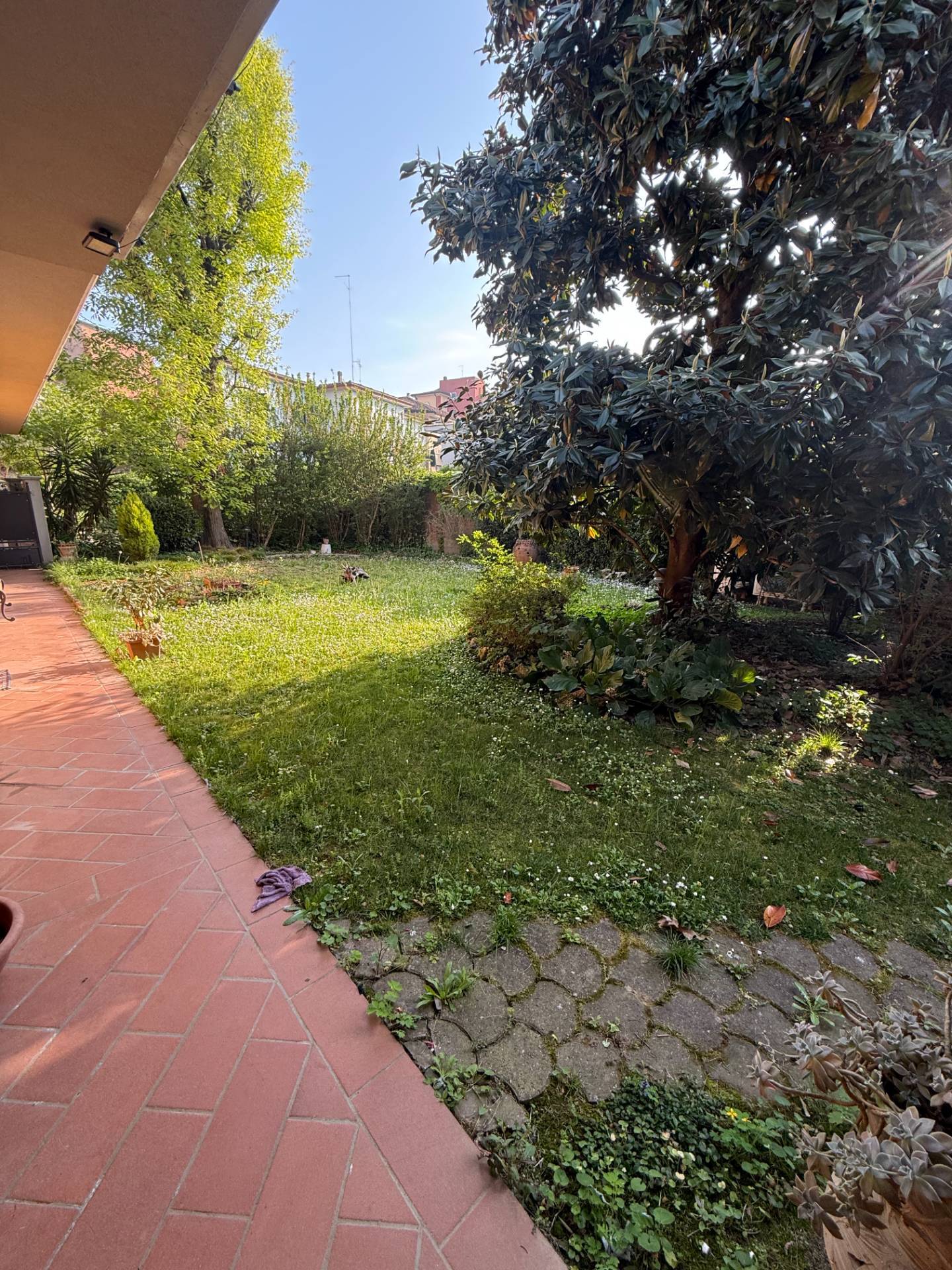 Foto annuncio 25