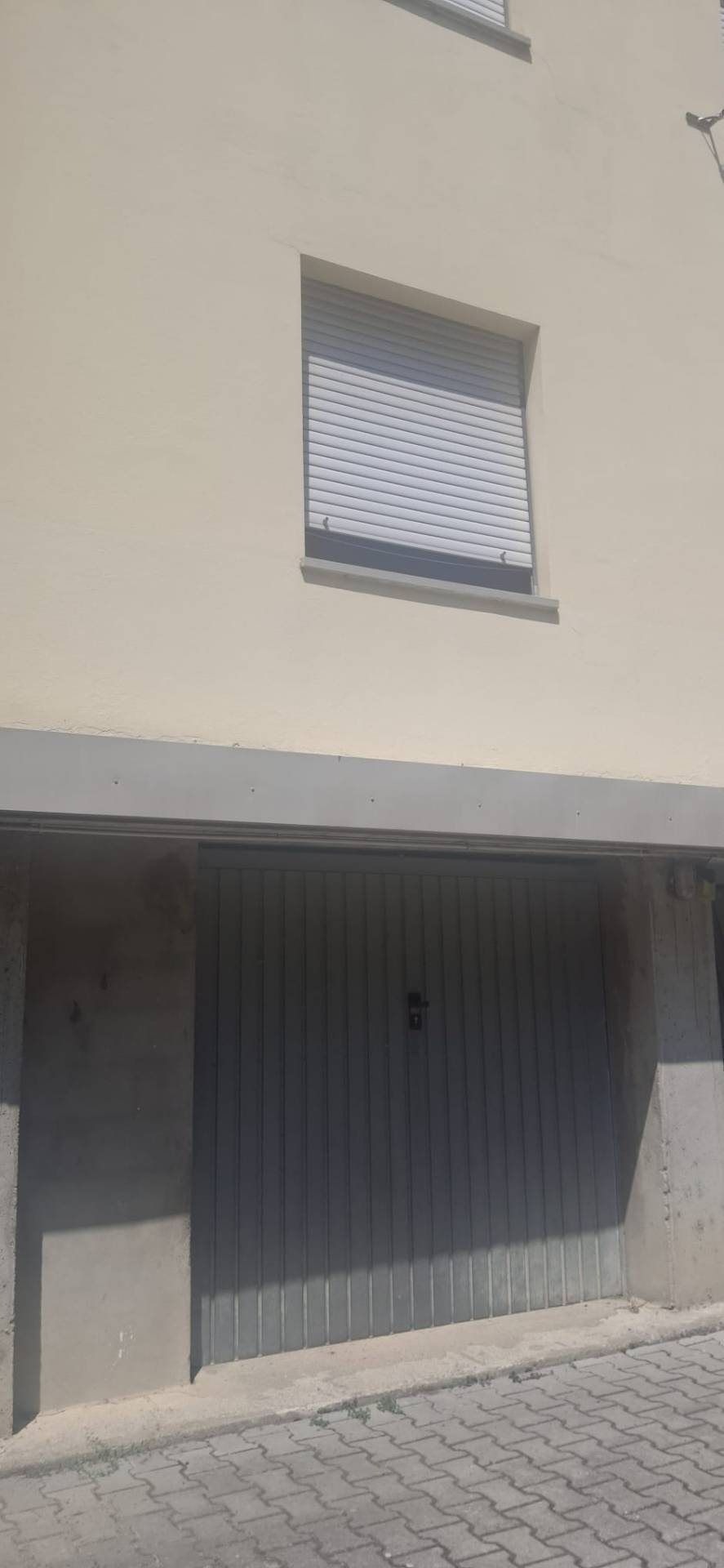 Foto annuncio 12