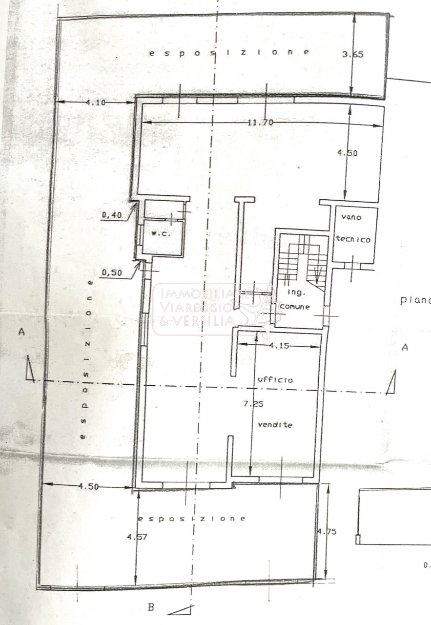 Immagine 14 di Negozio in vendita  in via Fratelli Cervi 20 a Viareggio