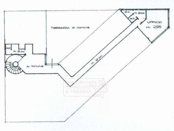 Immagine 6 di Capannone industriale in vendita  in via della Vetraia 3 a Viareggio