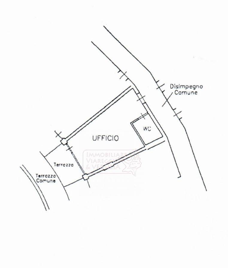 Immagine 16 di Capannone industriale in vendita  in via Fratelli Rosselli 5 a Camaiore