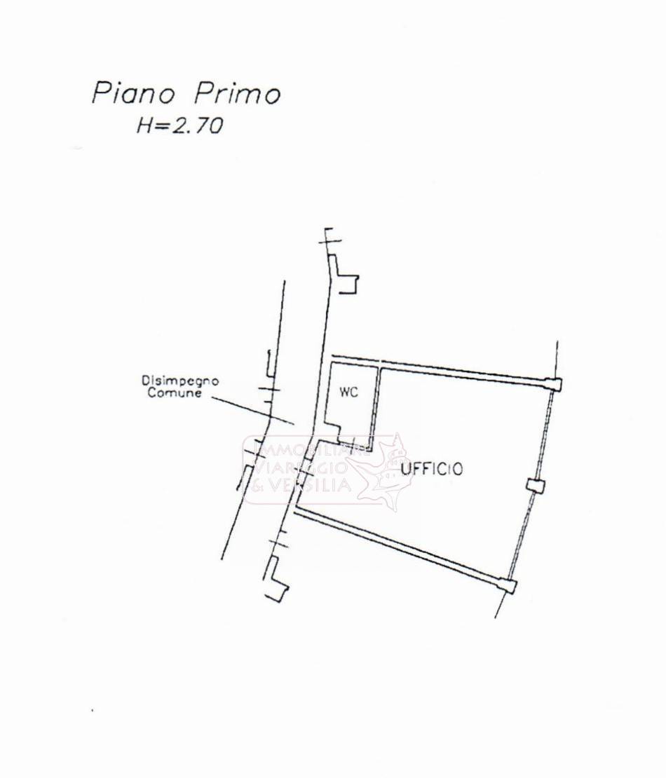 Immagine 12 di Capannone industriale in vendita  in via F. Rosselli 20 a Camaiore
