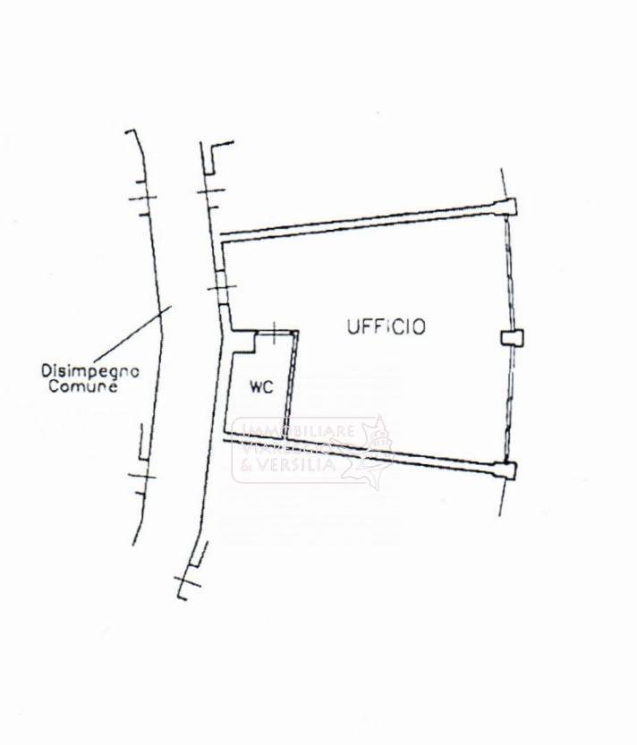 Immagine 13 di Capannone industriale in vendita  in via F. Rosselli 20 a Camaiore