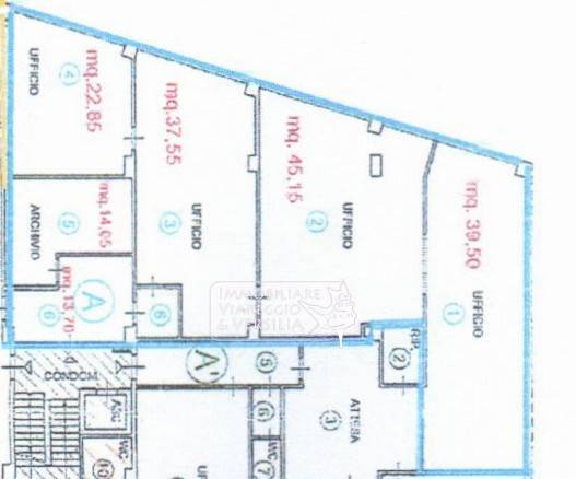 Immagine 11 di Capannone industriale in affitto  in via Vespucci 220 a Viareggio