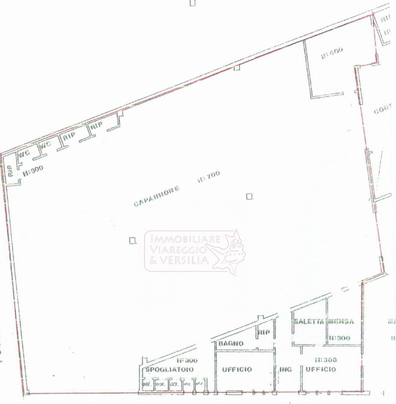 Immagine 14 di Magazzino in vendita  in via Virgilio 200 a Viareggio