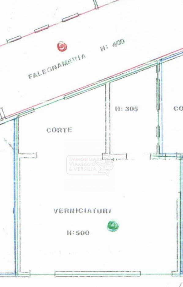 Immagine 11 di Magazzino in affitto  in Virgilio 20 a Viareggio