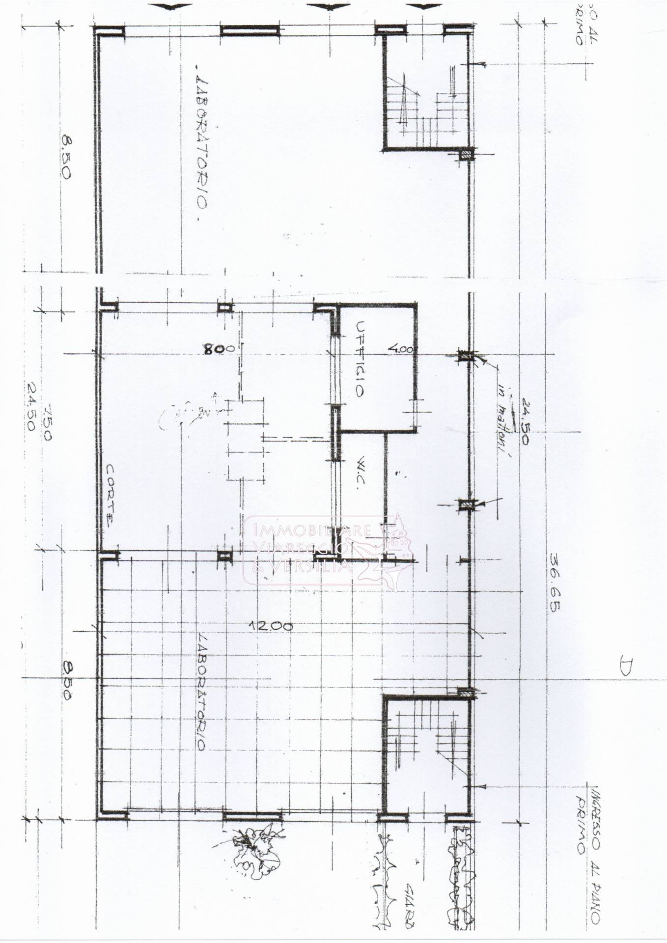 Immagine 10 di Magazzino in vendita  in via fratelli Cervi 20 a Viareggio