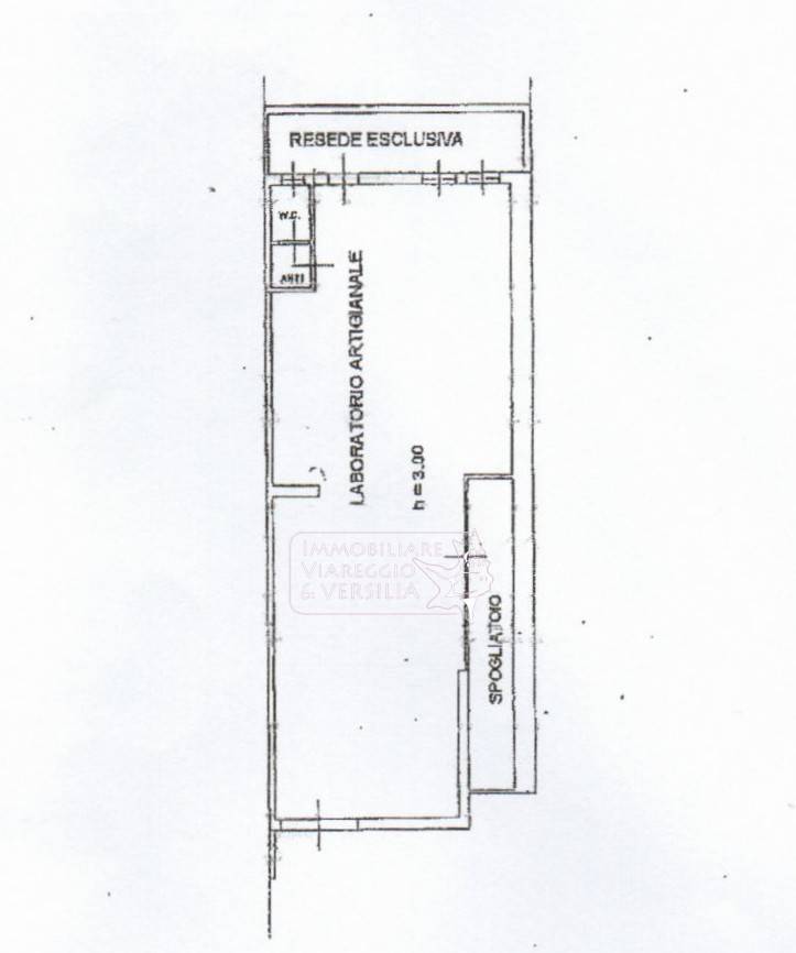 Immagine 16 di Magazzino in vendita  in via Virgilio 100 a Viareggio