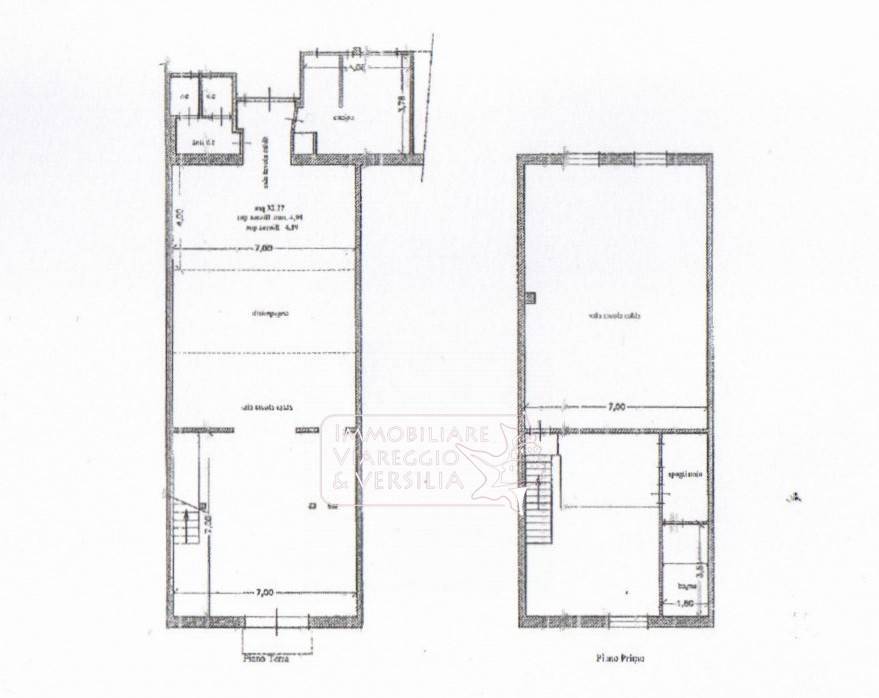 Immagine 13 di Negozio in affitto  a Viareggio