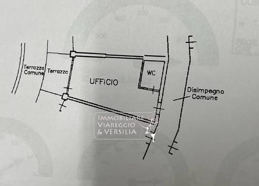Immagine 13 di Ufficio in affitto  a Camaiore