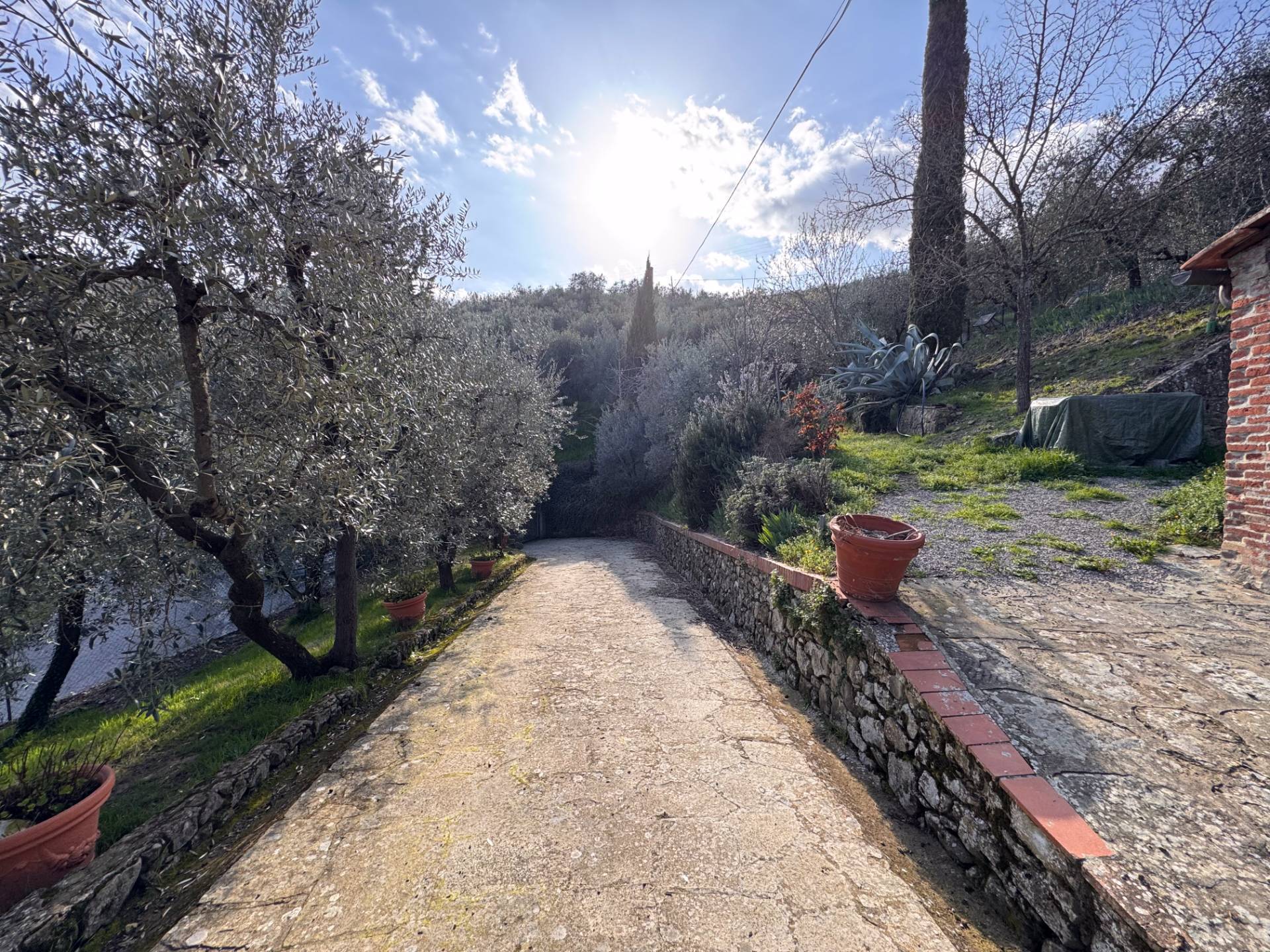 Foto annuncio 5