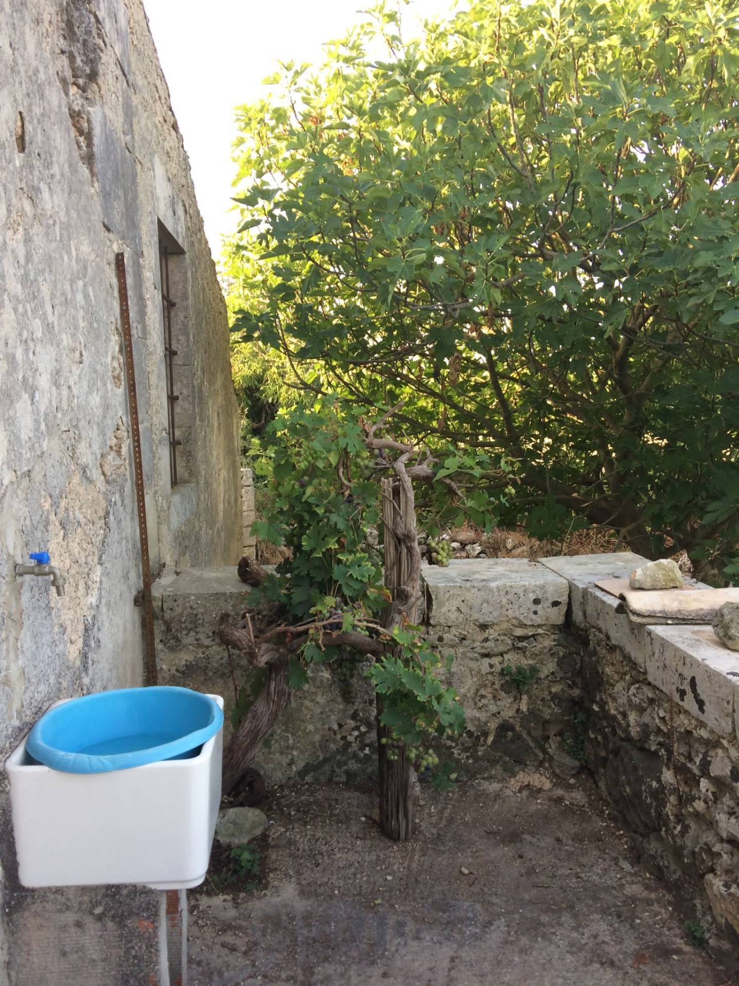 Immagine 23 di Villa in vendita  in Contrada Mezzo Gregorio a Noto