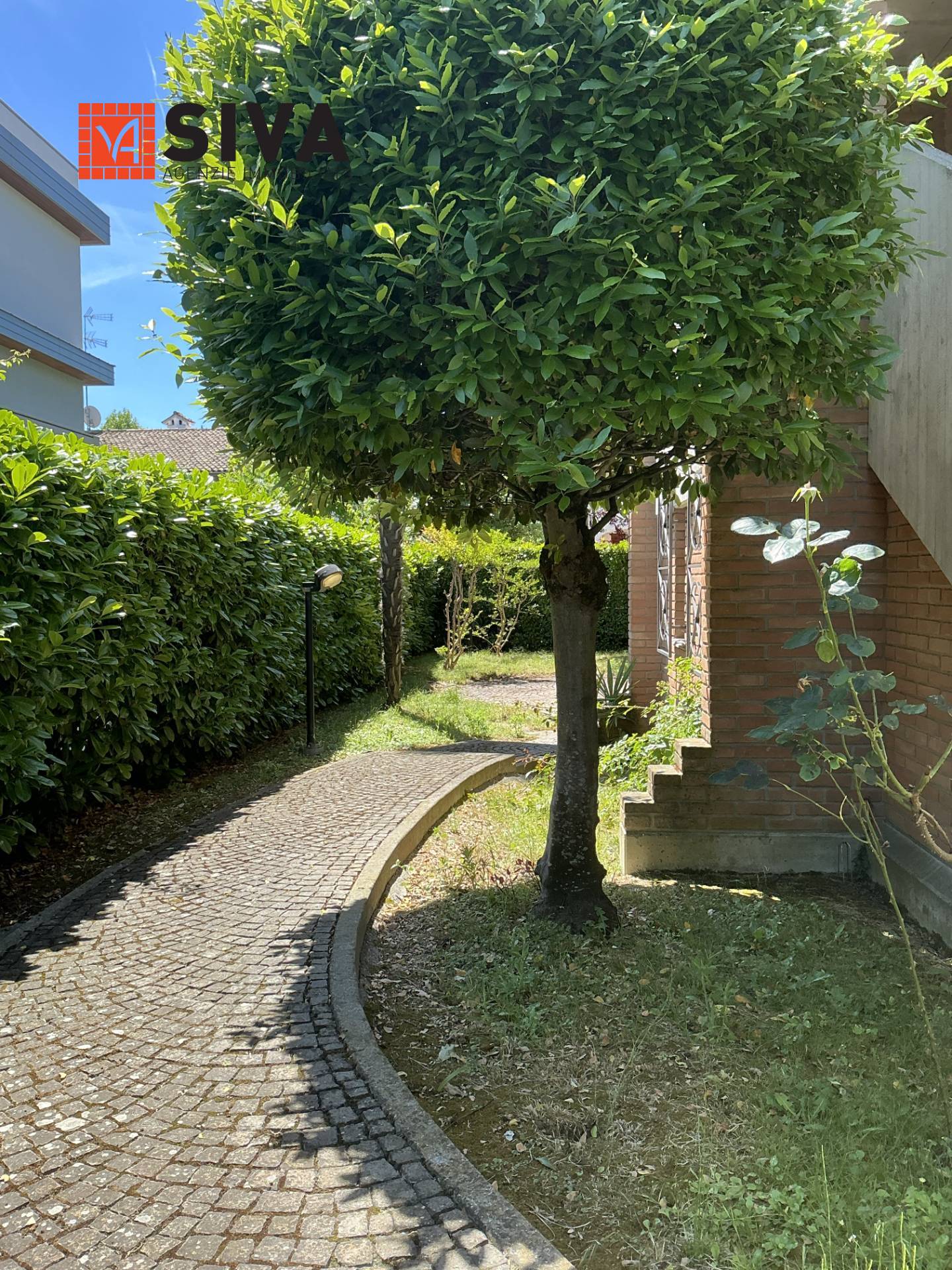 Foto annuncio 39