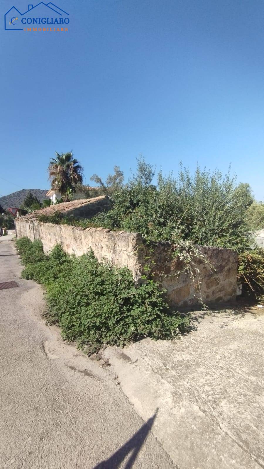 Foto annuncio 4