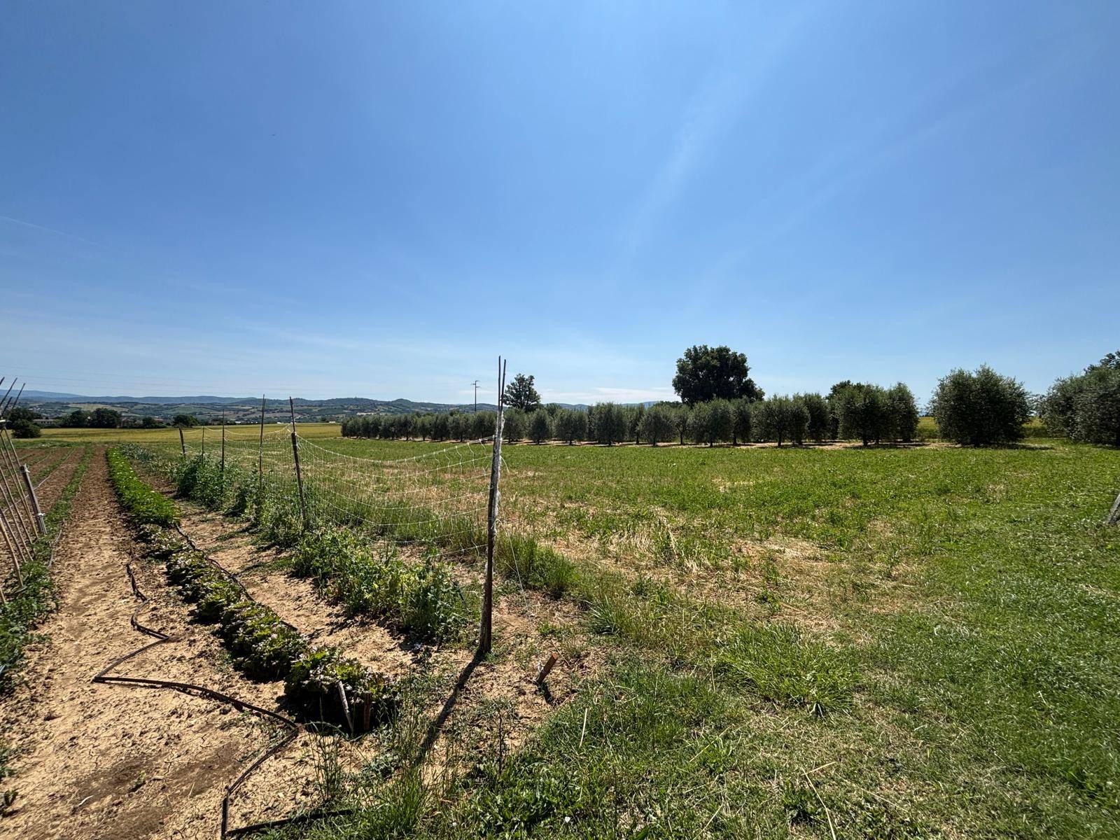 Foto annuncio 6
