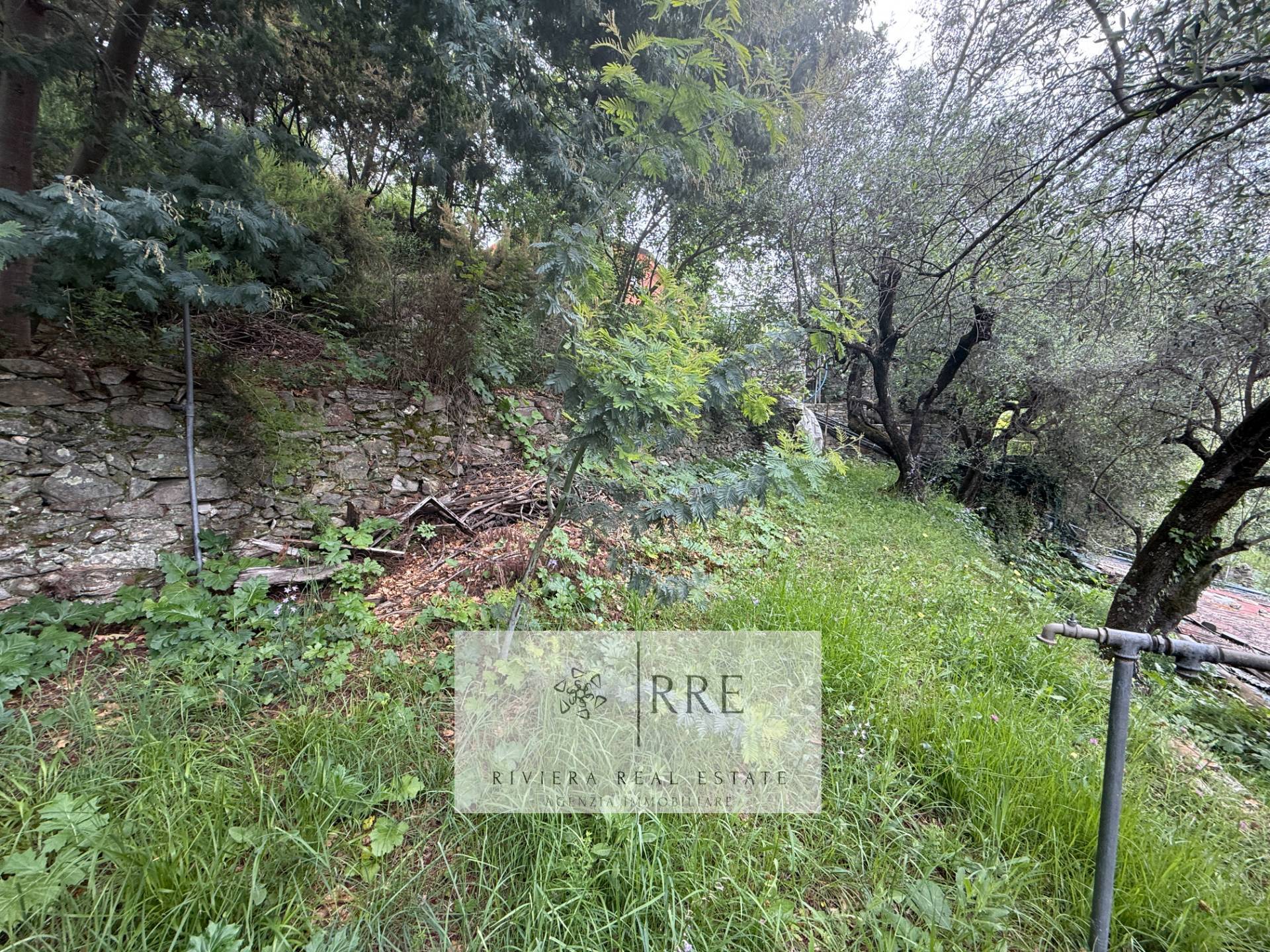 Foto annuncio 54