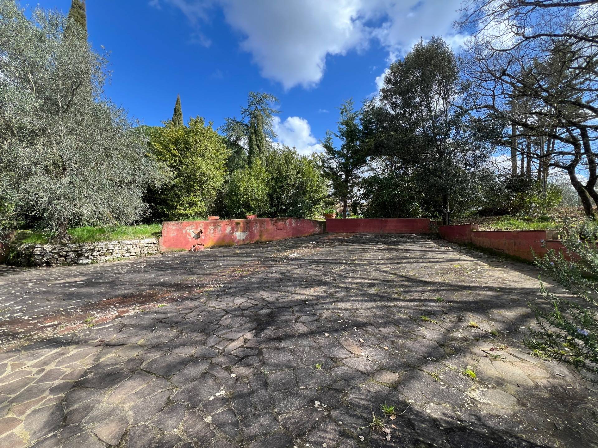 Foto annuncio 61