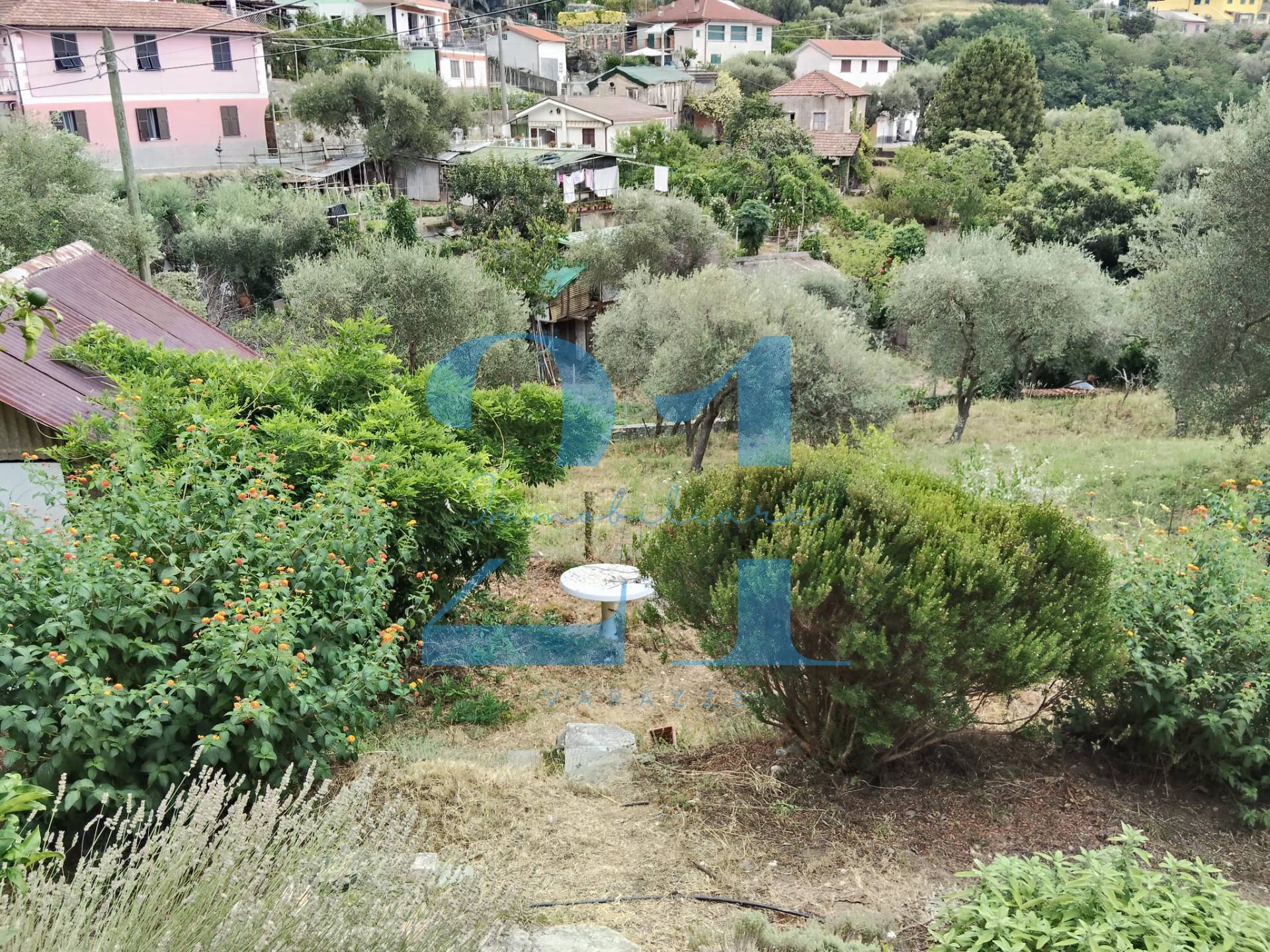 Foto annuncio 30