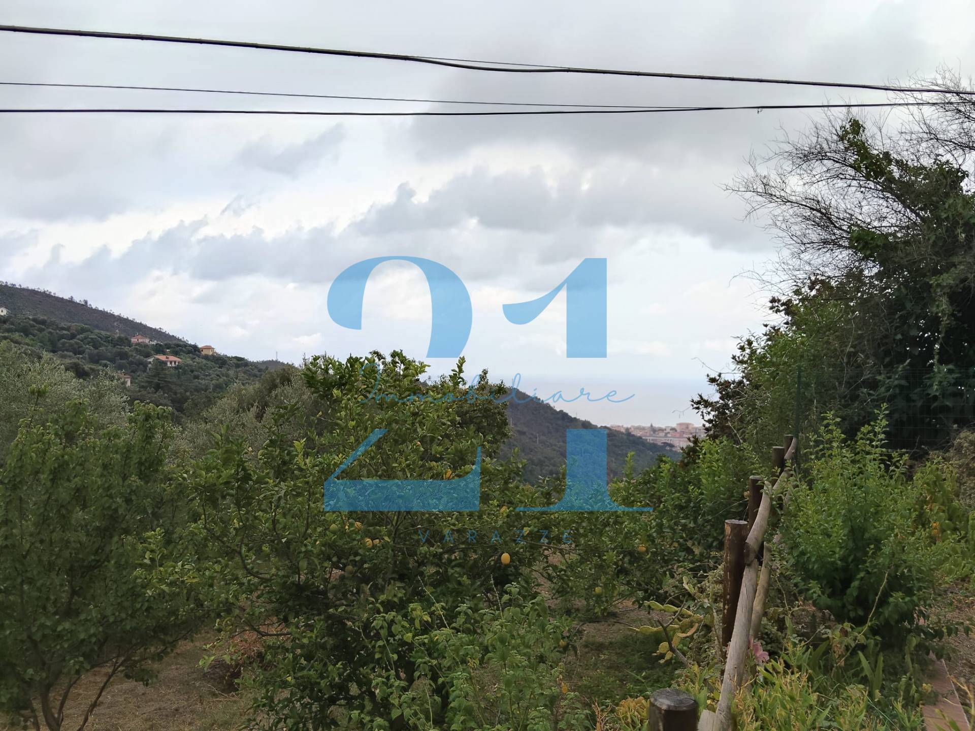 Foto annuncio 35