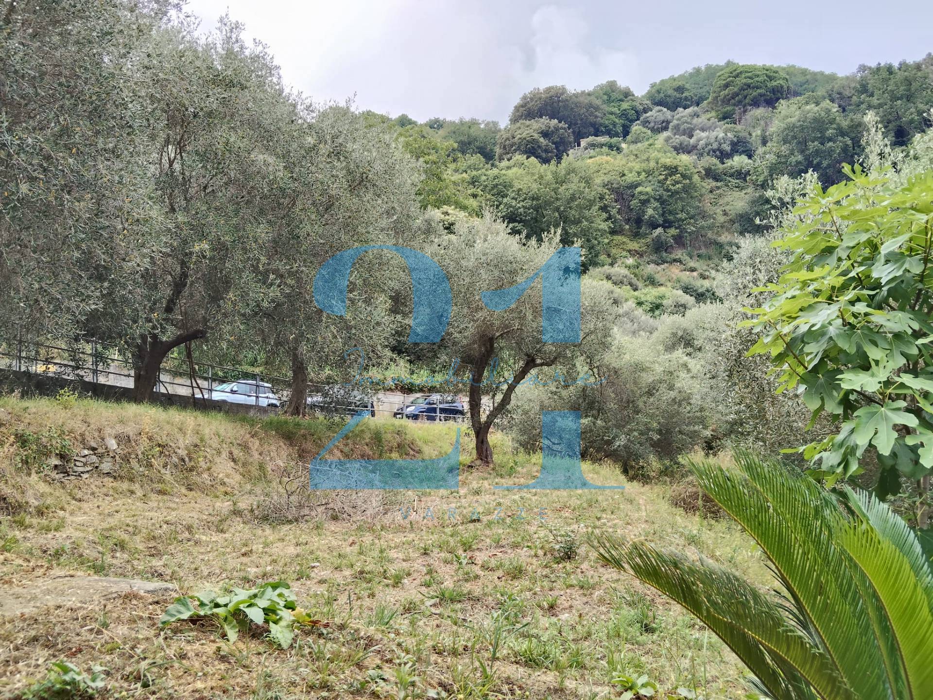 Foto annuncio 37