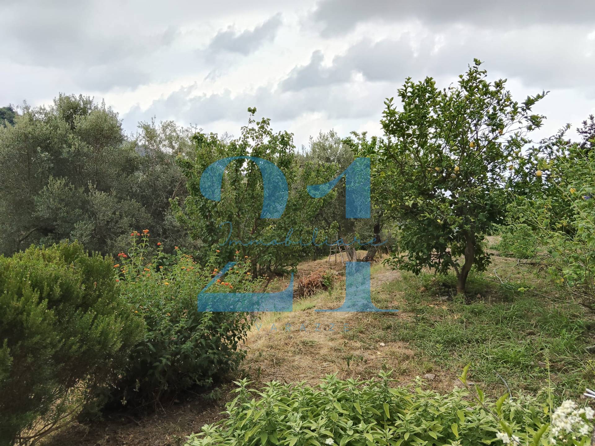 Foto annuncio 33