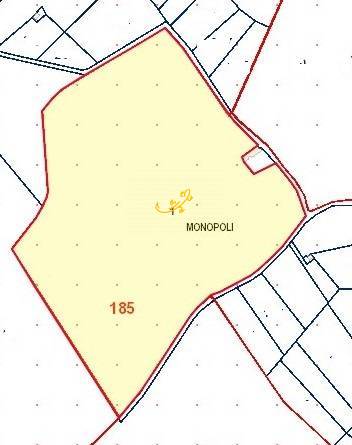 Immagine 12 di Rustico / casale in vendita  in C.da Paretano a Monopoli