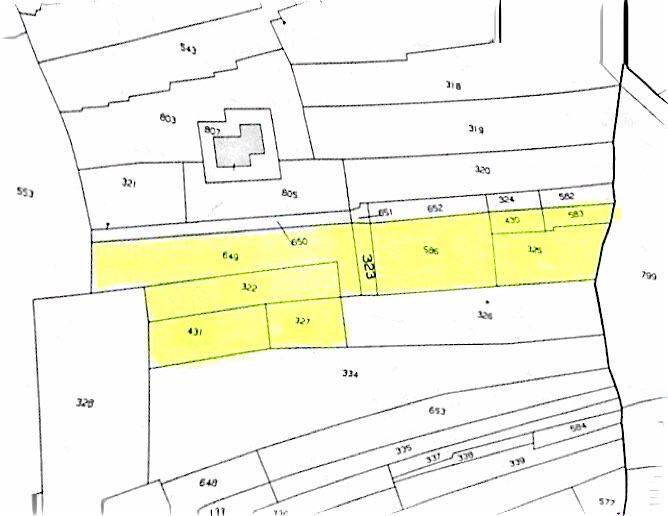 Immagine 16 di Terreno agricolo in vendita  in Contrada Bellacera a Partinico