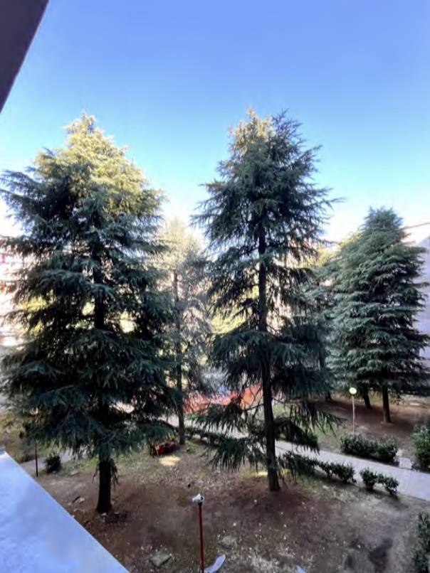 Immagine 3 di Appartamento in vendita  in VIA ALDO MORO 15 a Buccinasco