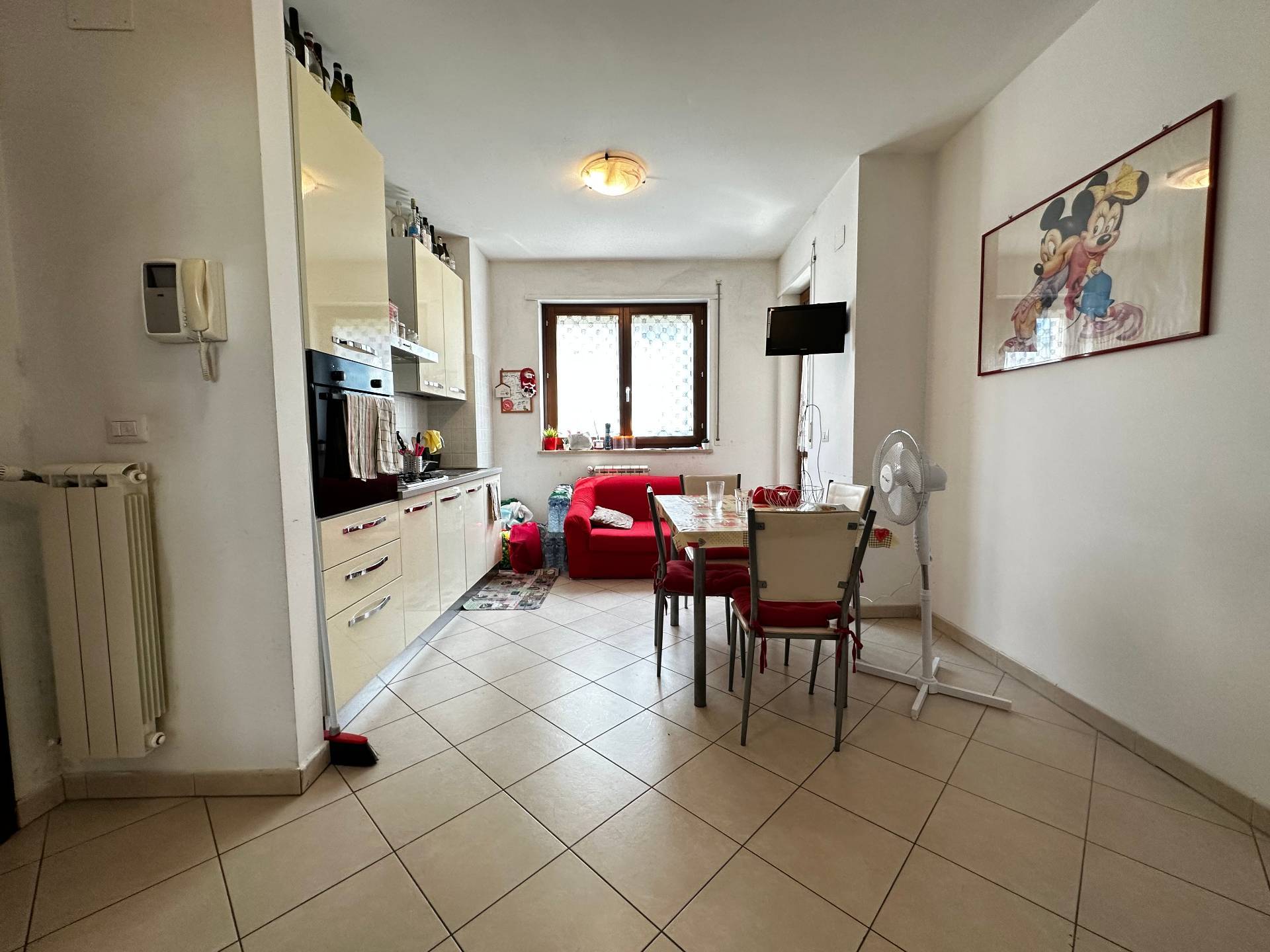 Foto annuncio 6