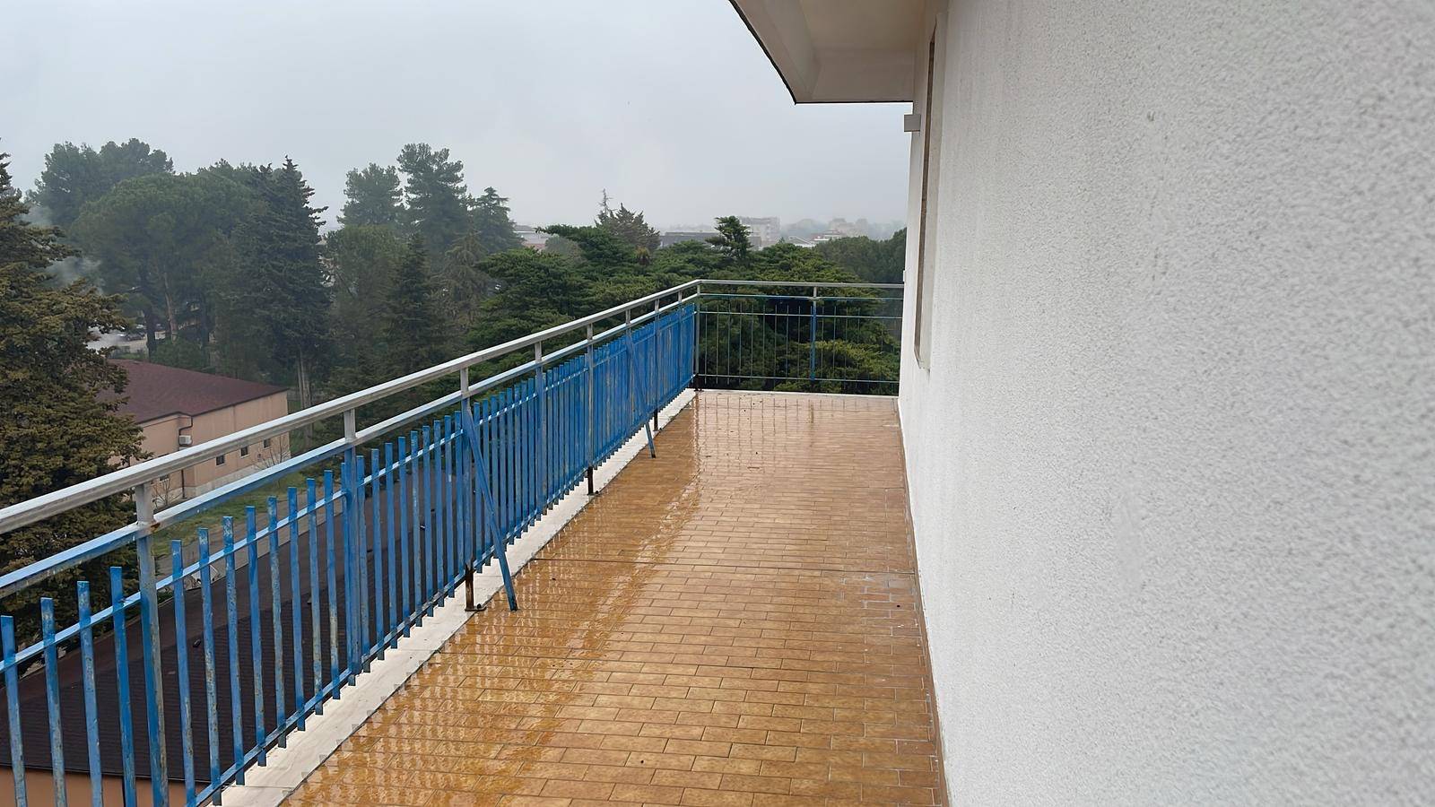 Foto annuncio 12