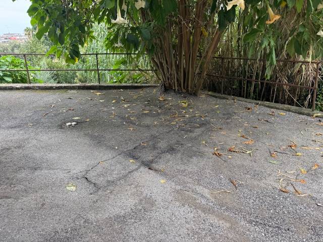 Immagine 18 di Appartamento in vendita  a San Benedetto Del Tronto