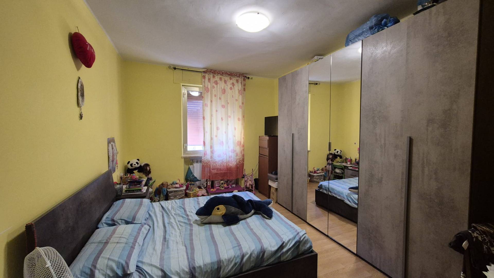 Foto annuncio 7