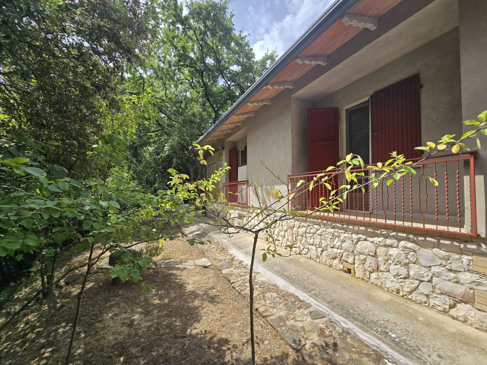 Foto annuncio 9