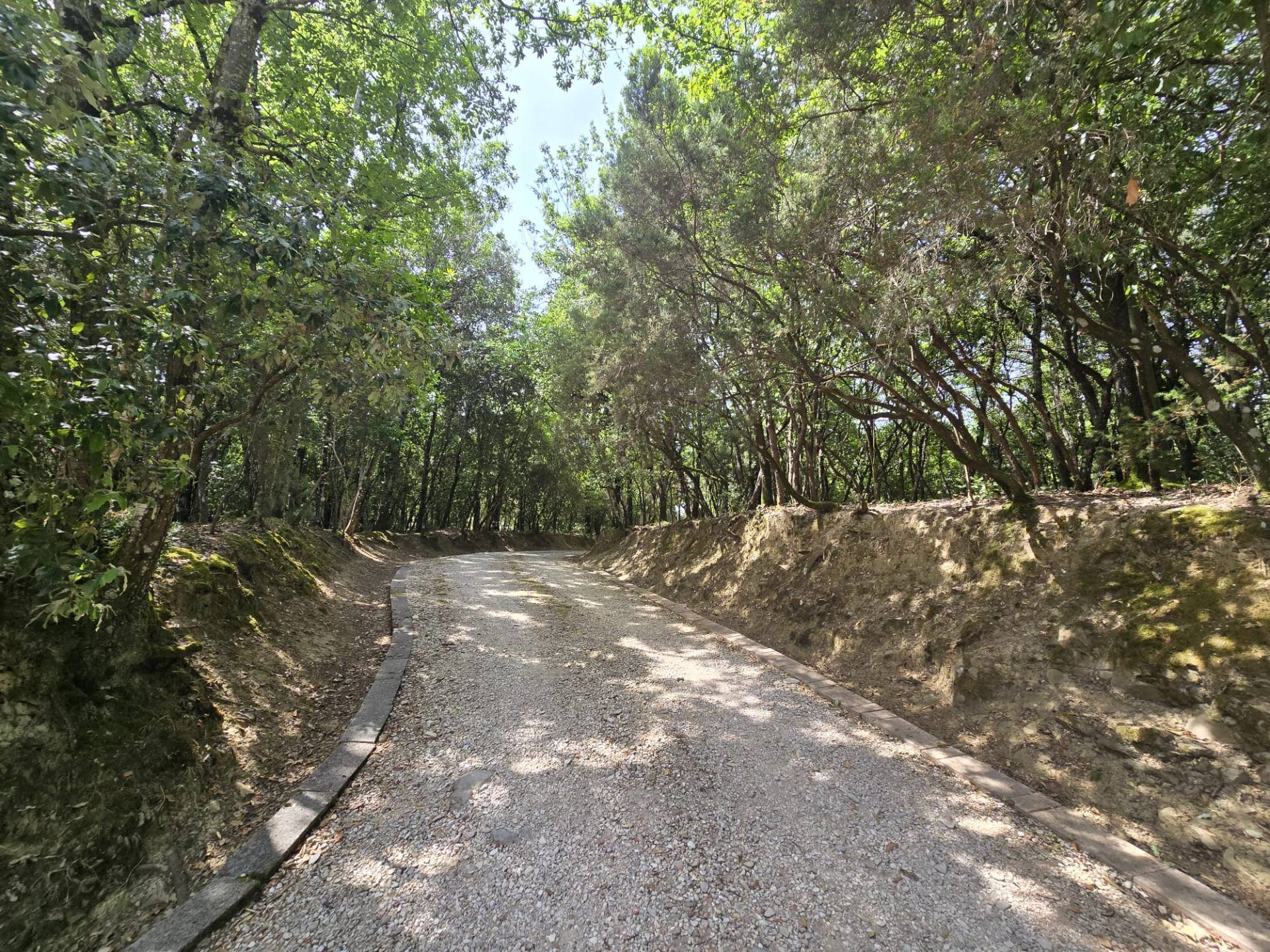 Foto annuncio 43