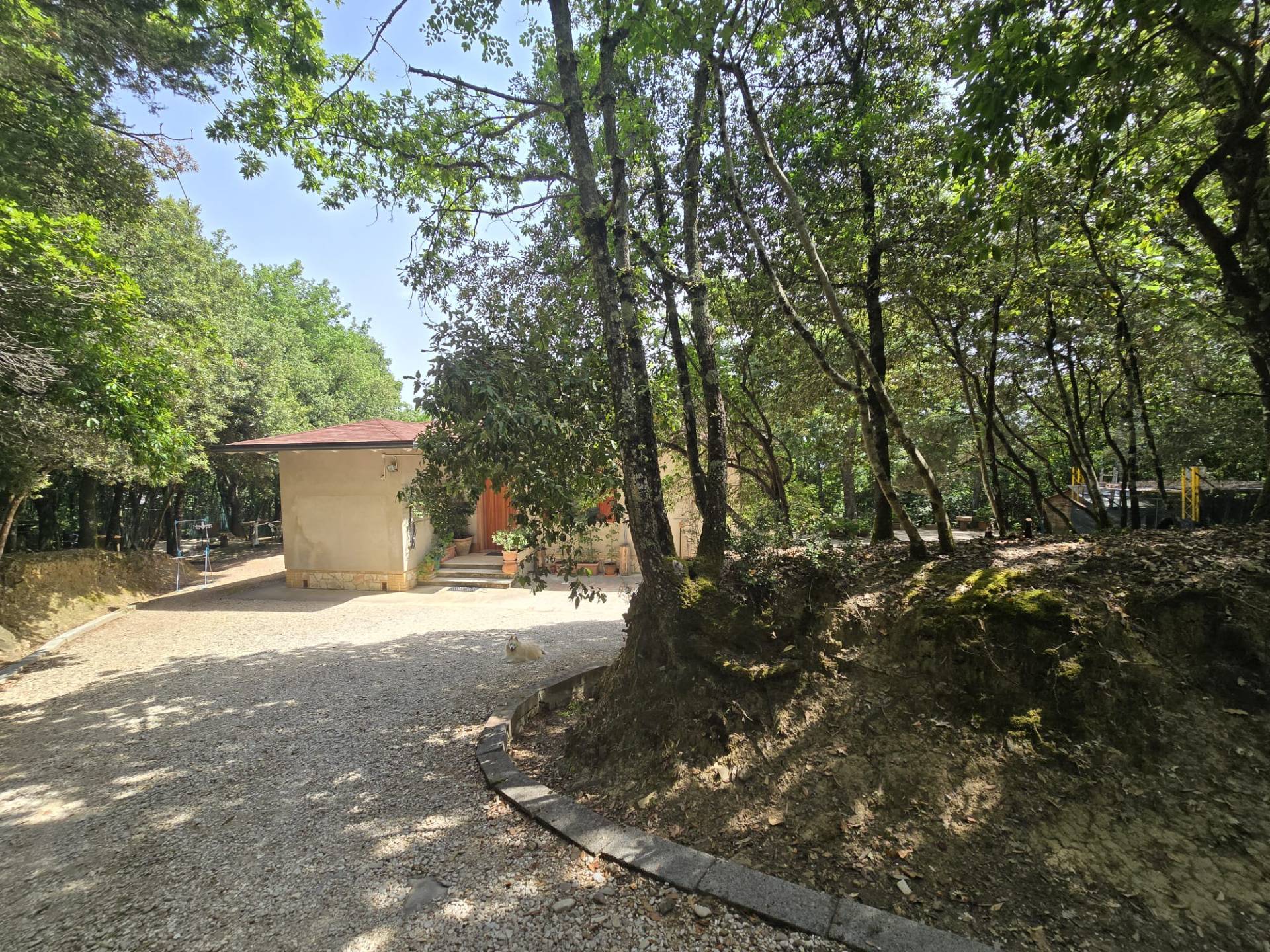 Foto annuncio 38