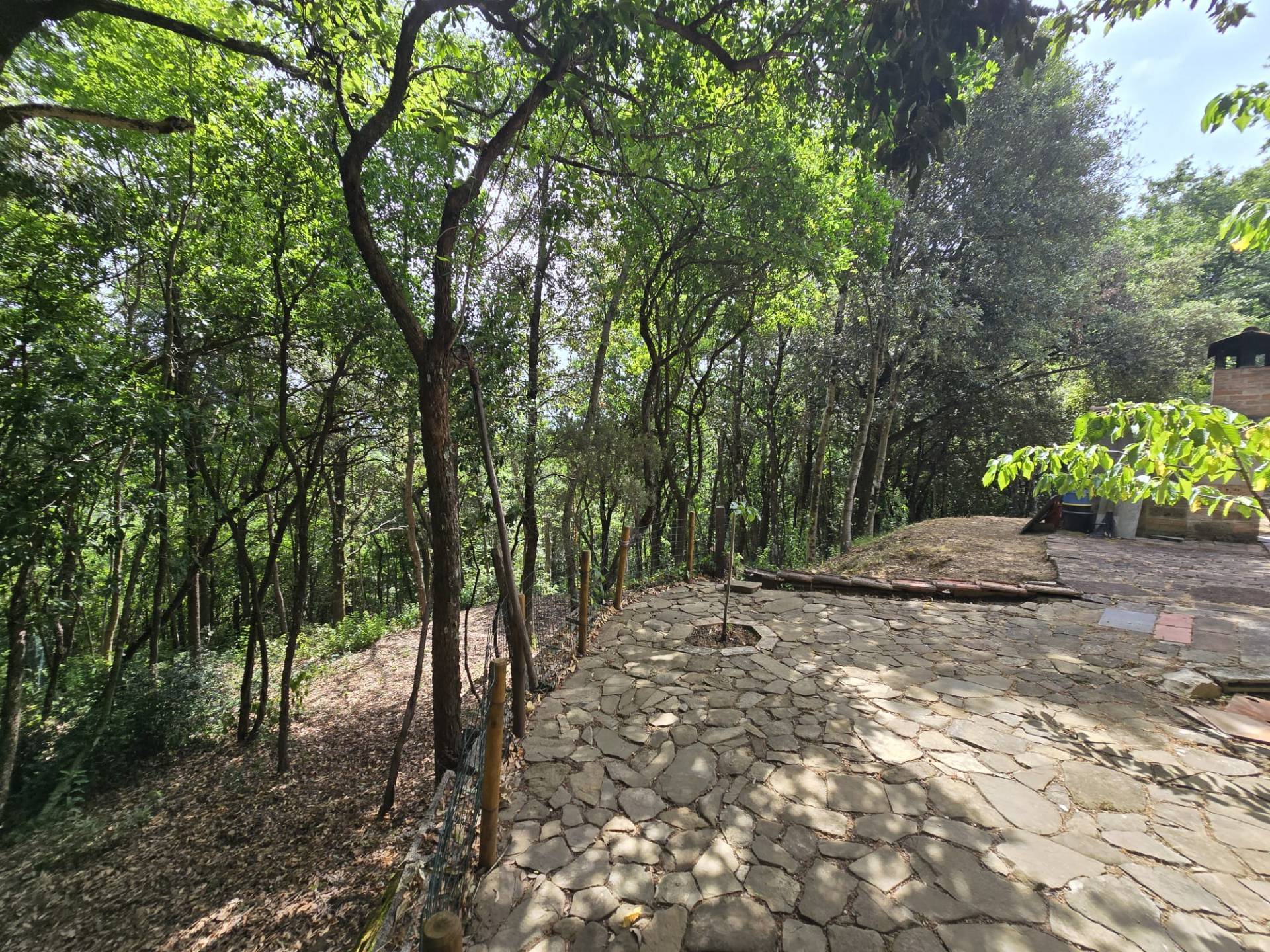 Foto annuncio 42
