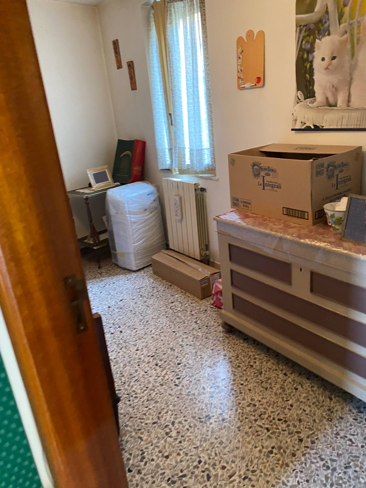 Foto annuncio 11