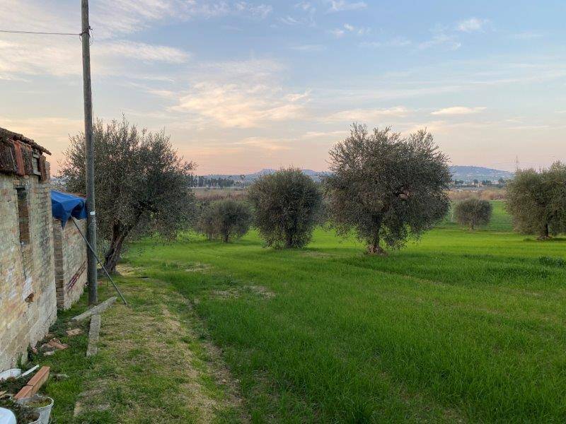 Foto annuncio 7