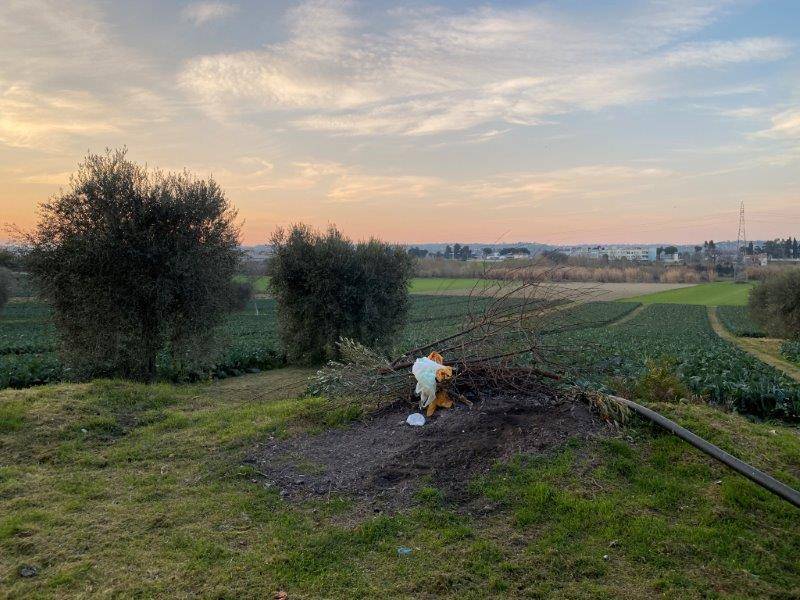 Foto annuncio 10