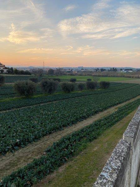 Foto annuncio 14