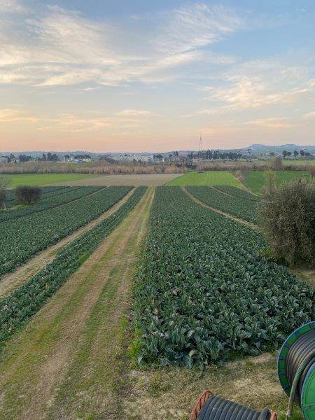 Foto annuncio 18