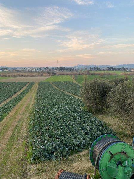 Foto annuncio 19