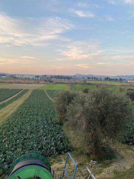 Foto annuncio 23