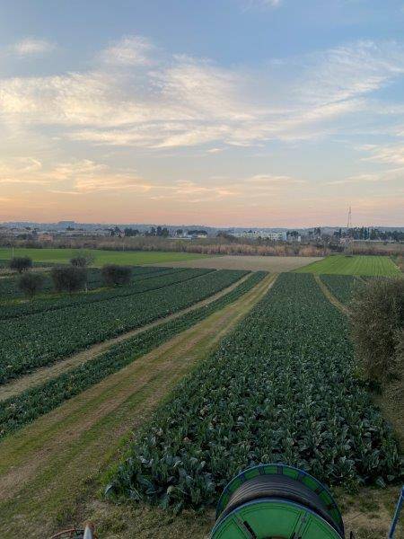 Foto annuncio 1