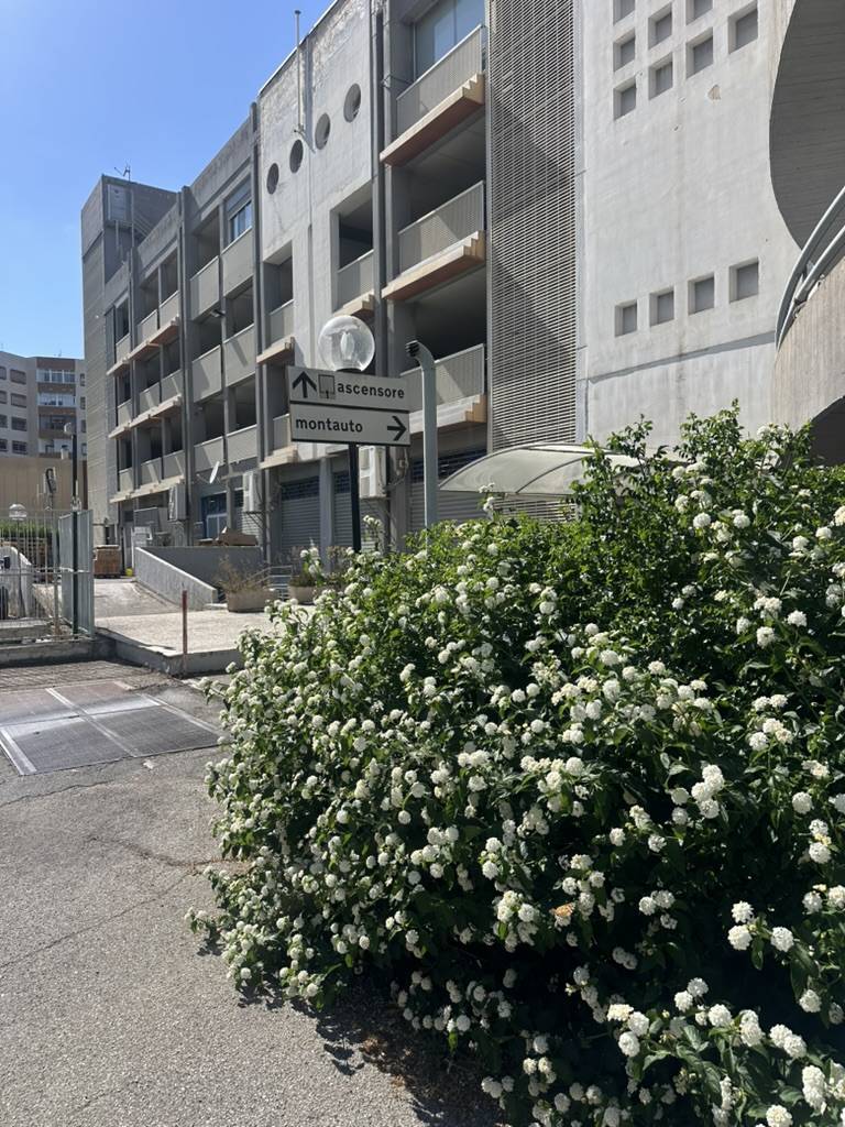 Foto annuncio 10
