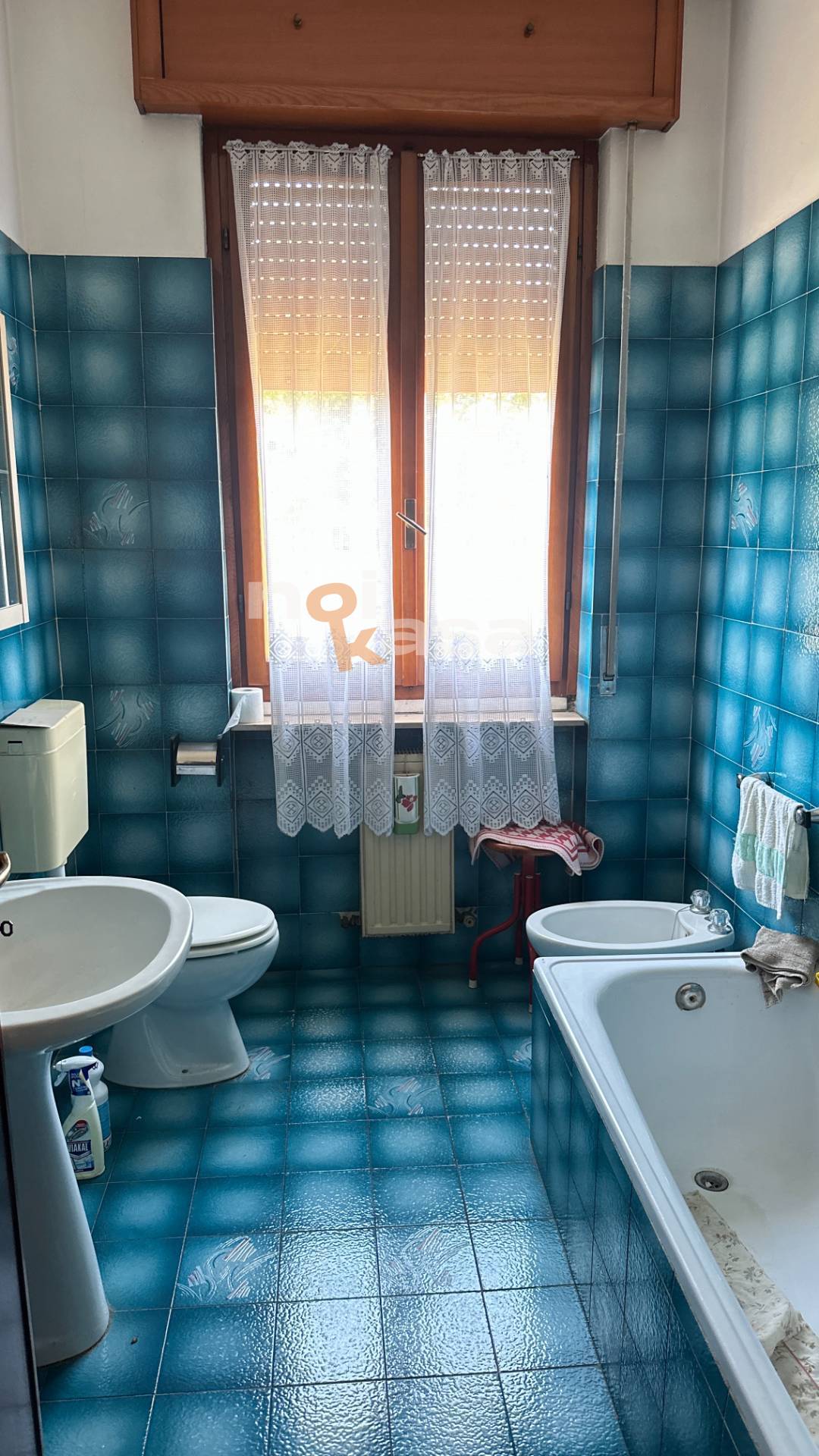 Foto annuncio 31