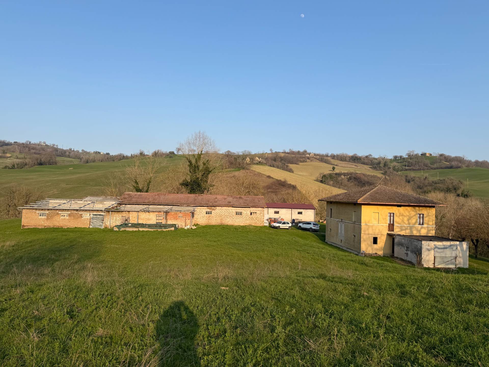 Foto annuncio 2