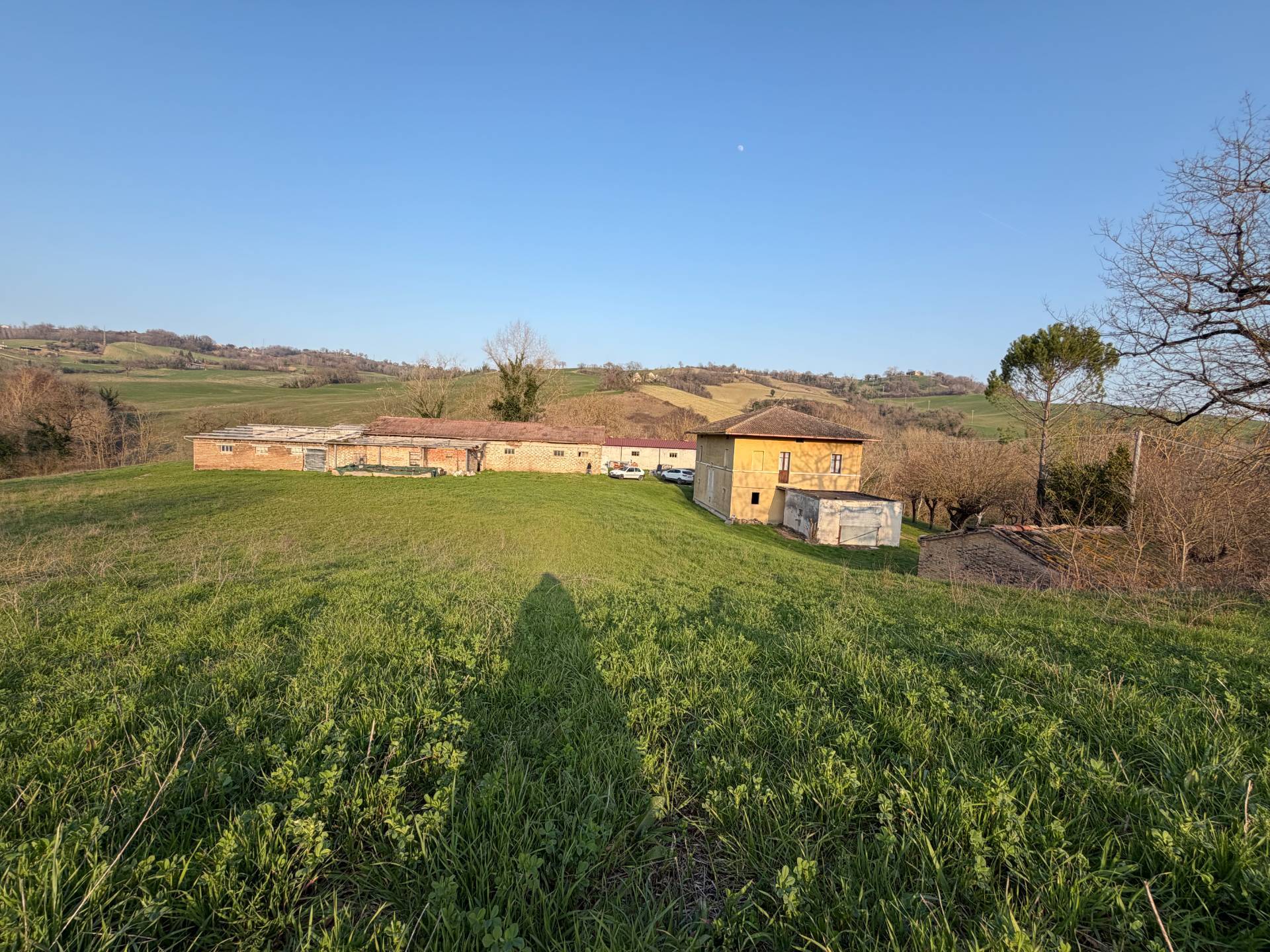Foto annuncio 28