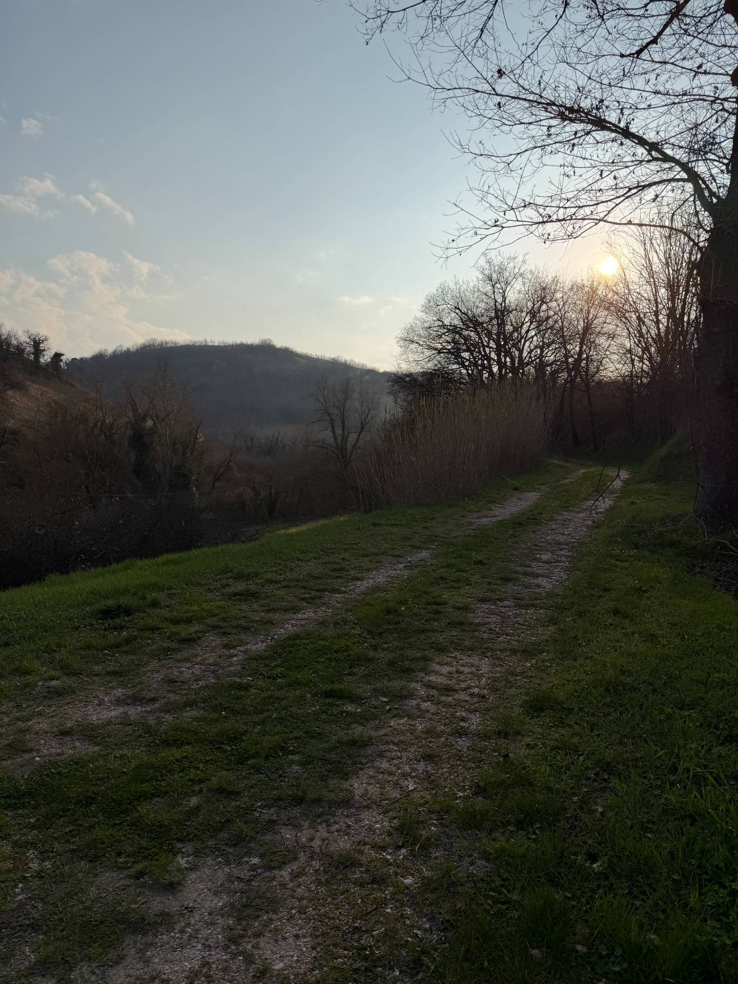 Foto annuncio 29