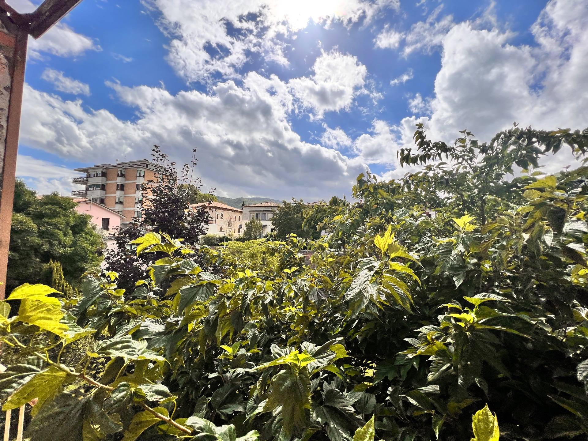 Foto annuncio 31